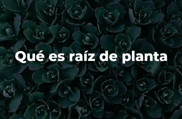 Qué es Raíz de Planta