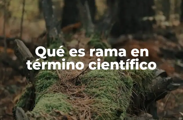 Qué es Rama en Término Científico