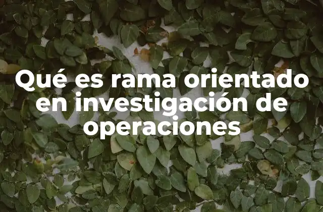 Qué es Rama Orientado en Investigación de Operaciones