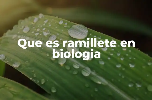 Que es Ramillete en Biologia