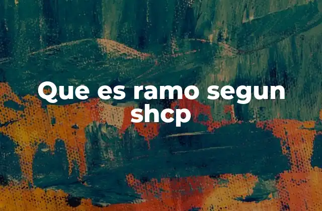 Que es Ramo Segun Shcp