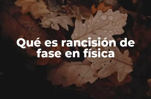 Qué es Rancisión de Fase en Física
