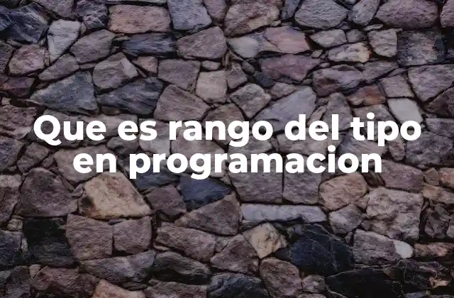 Que es Rango Del Tipo en Programacion