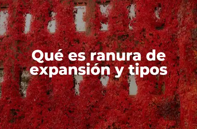 Qué es Ranura de Expansión y Tipos