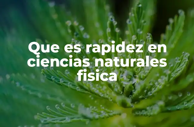 Que es Rapidez en Ciencias Naturales Fisica