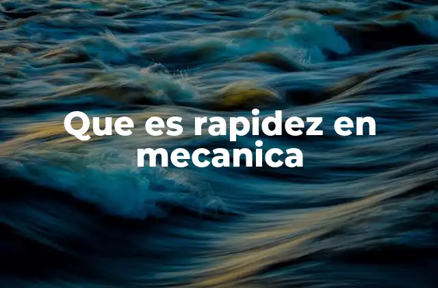 La importancia de la rapidez en el estudio del movimiento