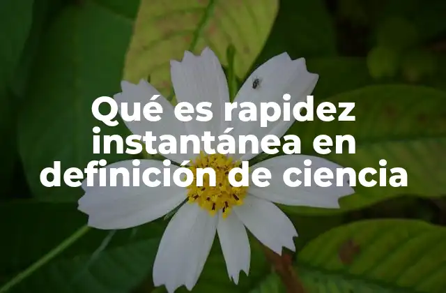 Qué es Rapidez Instantánea en Definición de Ciencia