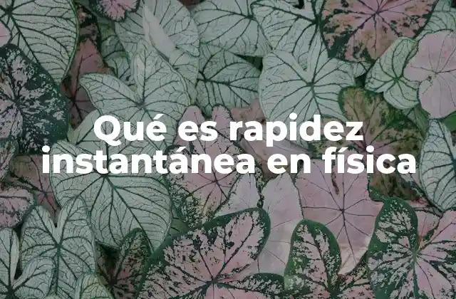 Qué es Rapidez Instantánea en Física