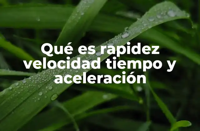 Qué es Rapidez Velocidad Tiempo y Aceleración 2 Movimiento en la vida cotidiana: más allá de los conceptos