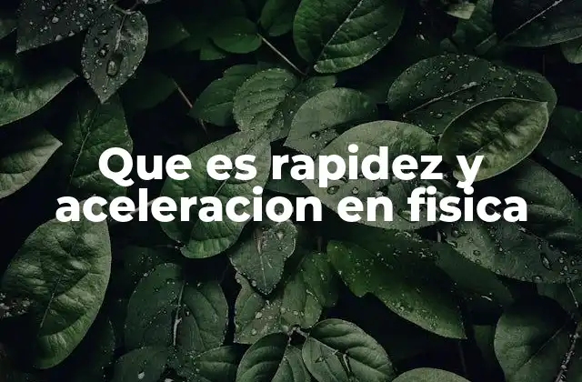 Que es Rapidez y Aceleracion en Fisica