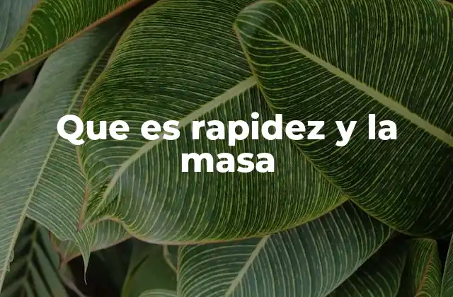 Que es Rapidez y la Masa