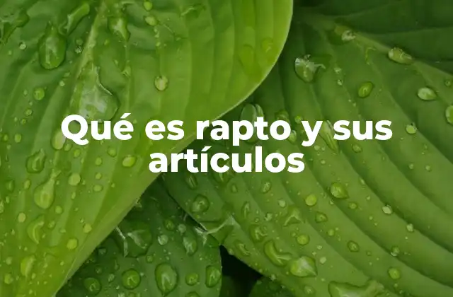 Qué es Rapto y Sus Artículos