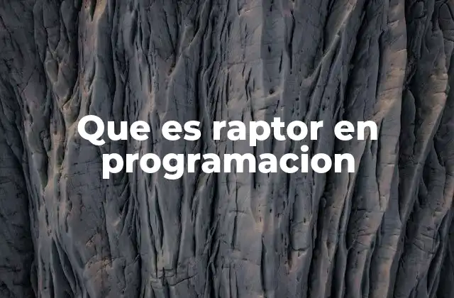 Que es Raptor en Programacion