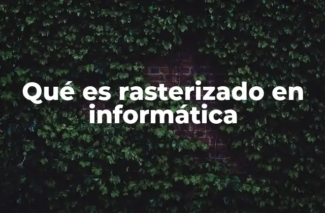 Qué es Rasterizado en Informática