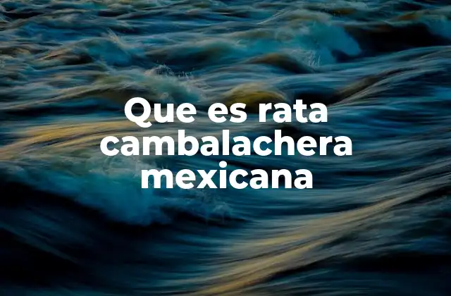 Que es Rata Cambalachera Mexicana