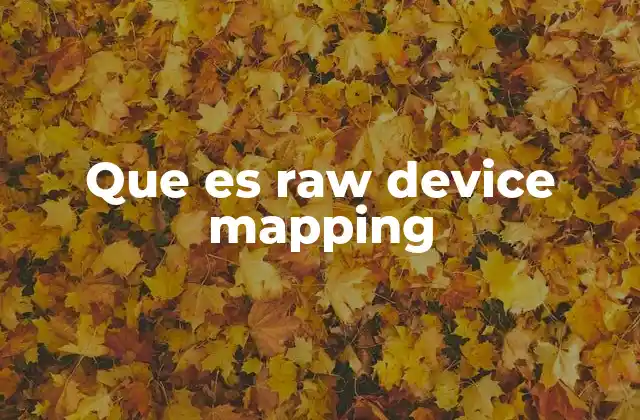 Que es Raw Device Mapping