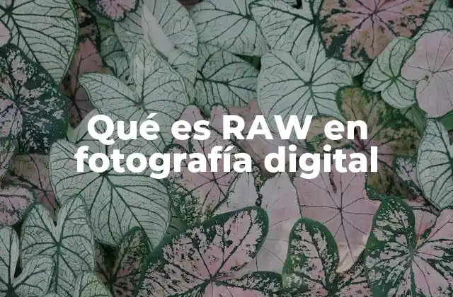 Qué es Raw en Fotografía Digital