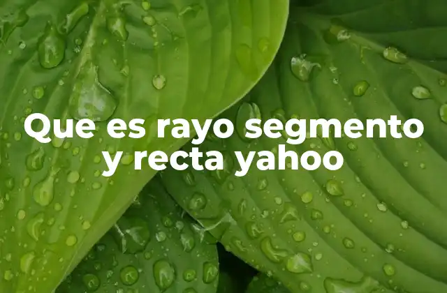 Que es Rayo Segmento y Recta Yahoo