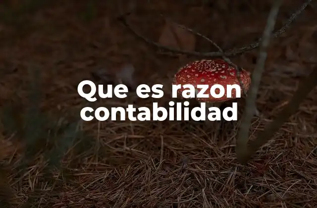 Cómo las razones contables impactan la toma de decisiones empresariales