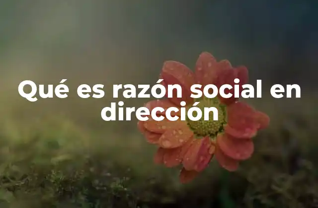 Qué es Razón Social en Dirección