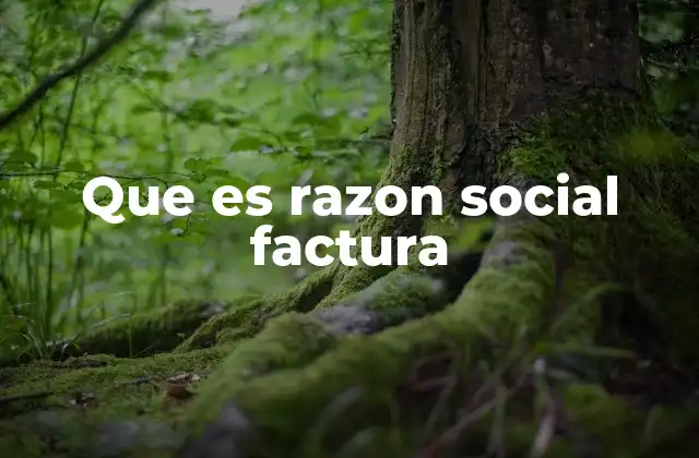 Que es Razon Social Factura