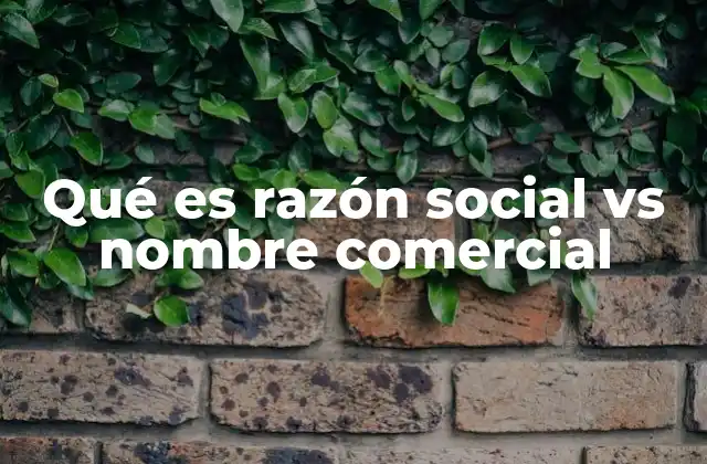 Qué es Razón Social Vs Nombre Comercial
