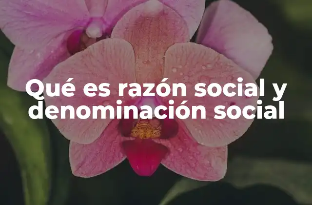 Qué es Razón Social y Denominación Social