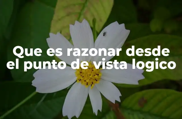 Que es Razonar desde el Punto de Vista Logico