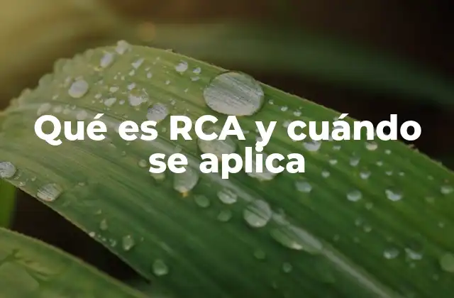 Qué es Rca y Cuándo Se Aplica