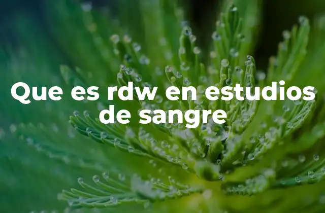 Que es Rdw en Estudios de Sangre