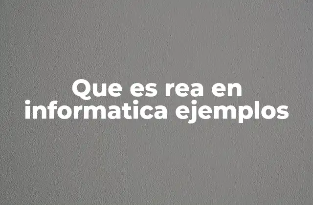 Que es Rea en Informatica Ejemplos