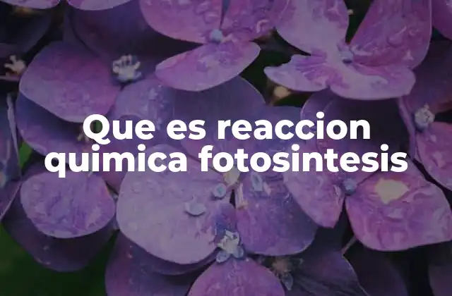Que es Reaccion Quimica Fotosintesis