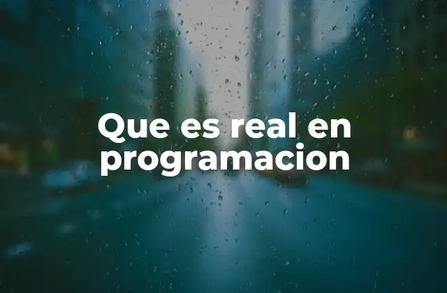 Que es Real en Programacion