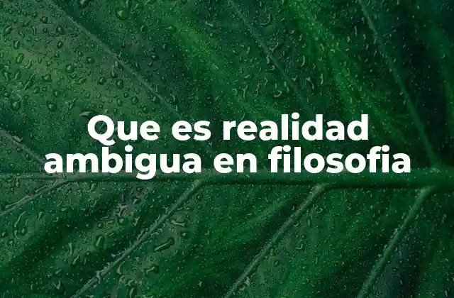 Que es Realidad Ambigua en Filosofia