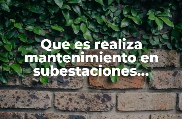 Que es Realiza Mantenimiento en Subestaciones Electricas