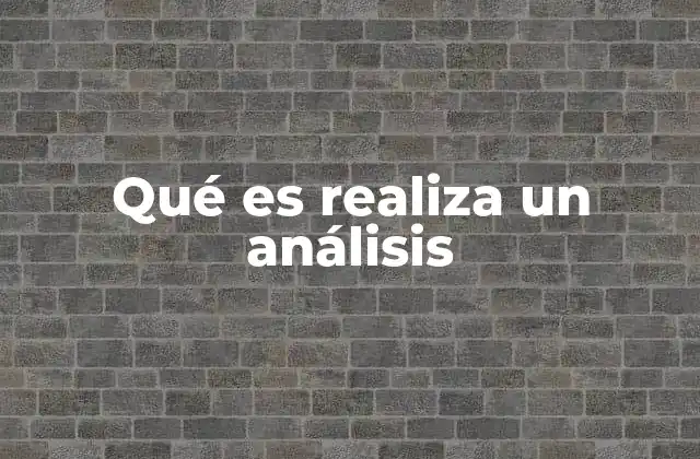 Qué es Realiza un Análisis