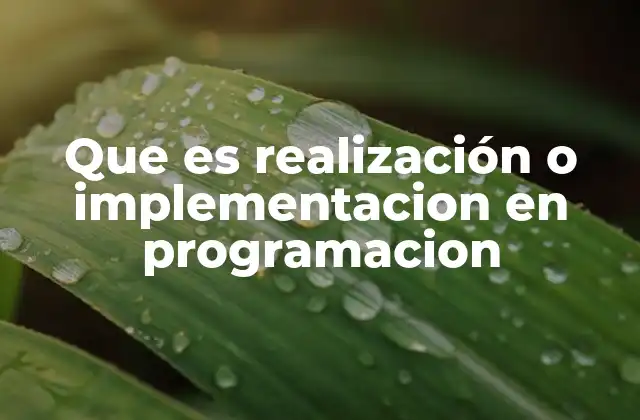 Que es Realización o Implementacion en Programacion