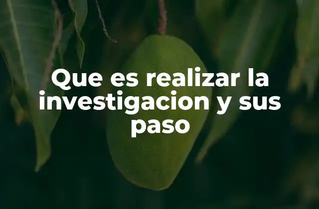 Que es Realizar la Investigacion y Sus Paso