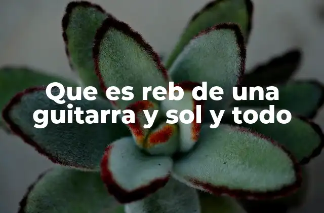 Que es Reb de una Guitarra y Sol y Todo