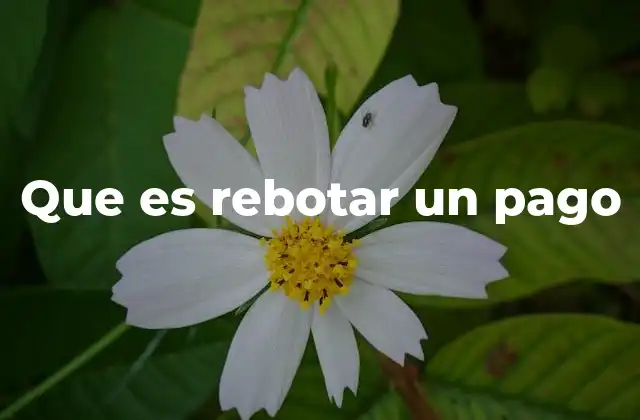 Que es Rebotar un Pago