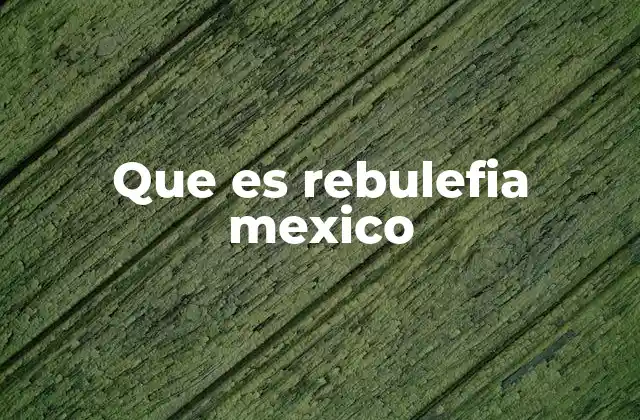Que es Rebulefia Mexico