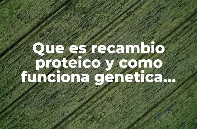 Que es Recambio Proteico y como Funciona Genetica Bioquimica 2 La relación entre genética y el recambio proteico
