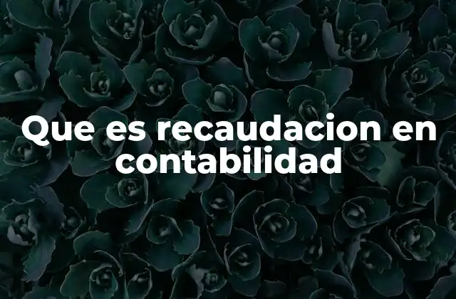 Que es Recaudacion en Contabilidad