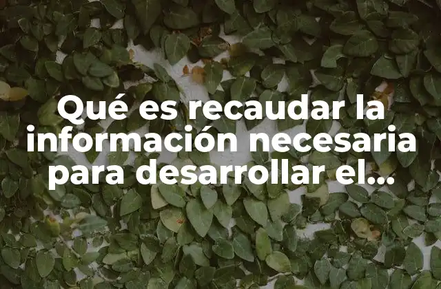 Qué es Recaudar la Información Necesaria para Desarrollar el Tema