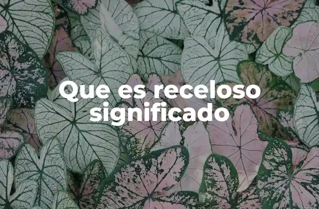Que es Receloso Significado