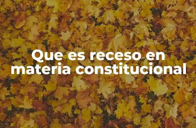Que es Receso en Materia Constitucional
