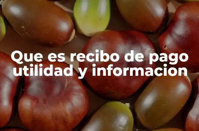 Que es Recibo de Pago Utilidad y Informacion