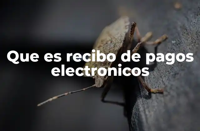 ¿Cómo funciona un recibo de pago electrónico?