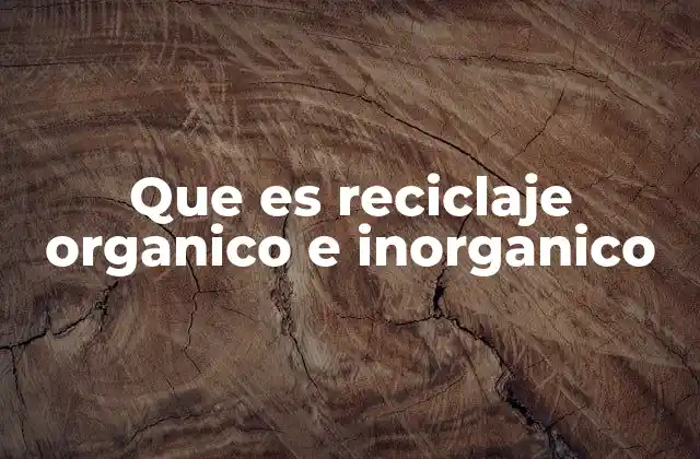 Que es Reciclaje Organico e Inorganico