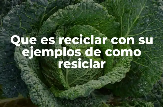 Que es Reciclar con Su Ejemplos de como Resiclar